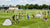 Een groep jonge spelers traint met verschillende soorten voetbaldoelen op het veld. Strakke focus en teamwork zichtbaar.