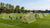 Voetbaltrainingsveld met meerdere doelen, trainers en spelers die samenwerken aan oefeningen en positionering.