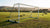 Een vast voetbaldoel op een grasveld met spelers die rond het doel een wedstrijd spelen.